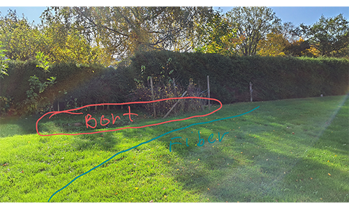 Rensning och anläggning av gräsmatta