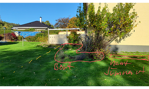 Rensning och anläggning av gräsmatta