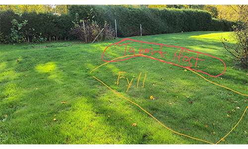 Rensning och anläggning av gräsmatta