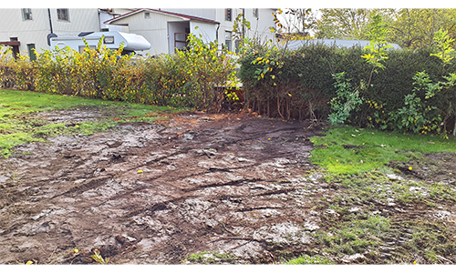 Rensning och anläggning av gräsmatta