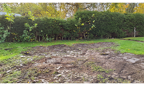 Rensning och anläggning av gräsmatta