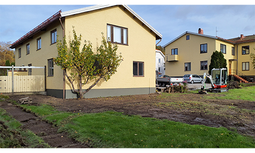 Rensning och anläggning av gräsmatta