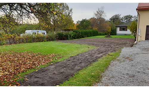 Rensning och anläggning av gräsmatta