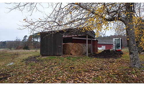 Löstrift på hästgård