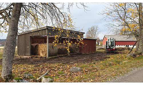 Lösdrift på hästgård