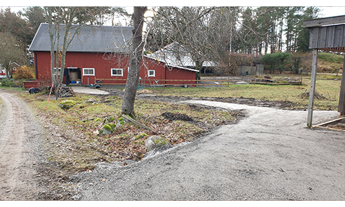 Lösdrift på hästgård