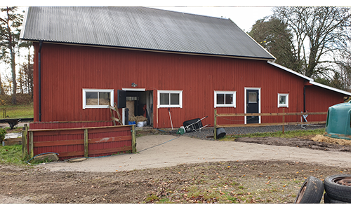Lösdrift på hästgård